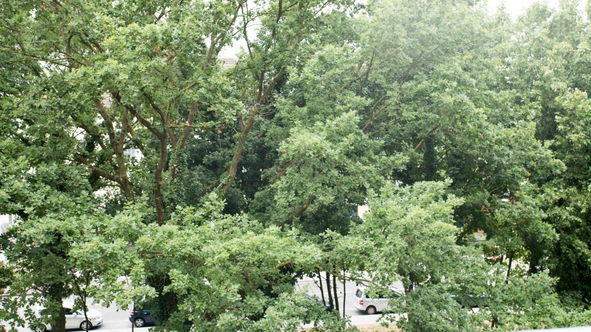 Work And Balcony Apartment